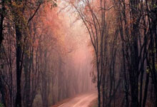 科兴制药携手澳斯康生物 进军欧美生物类似药市场