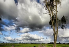 美团外卖首次披露“1对1急送”数据：骑手单均收入翻一番