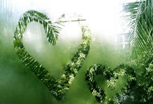 同业存款新规之后，货基收益再创新低