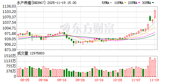 基本面大幅改善！水产养殖涨停潮 融资客抢筹这些股